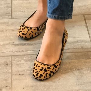 Ann Taylor leopard print calf hair flats